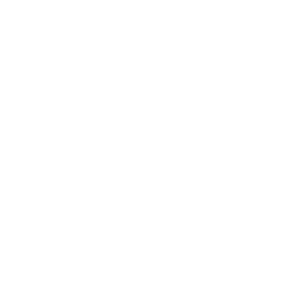 Flag Graphic