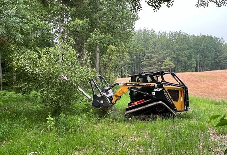 Equipment maintaining lawn appearance