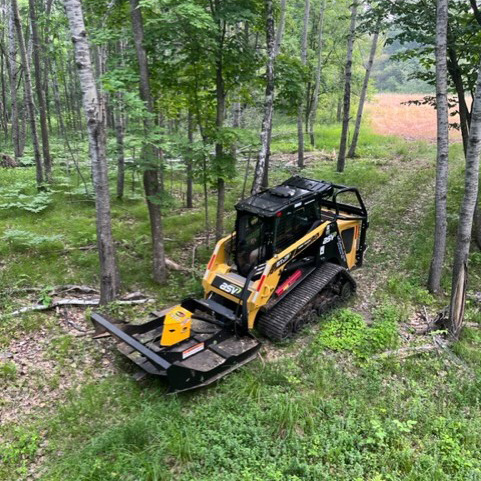 Equipment maintaining lawn appearance